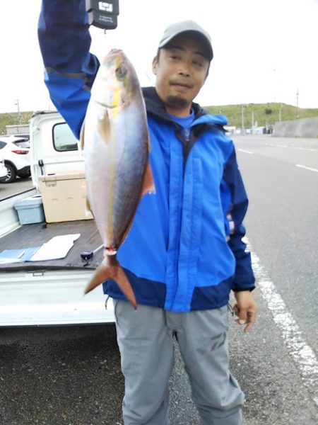 船ジギング釣り果